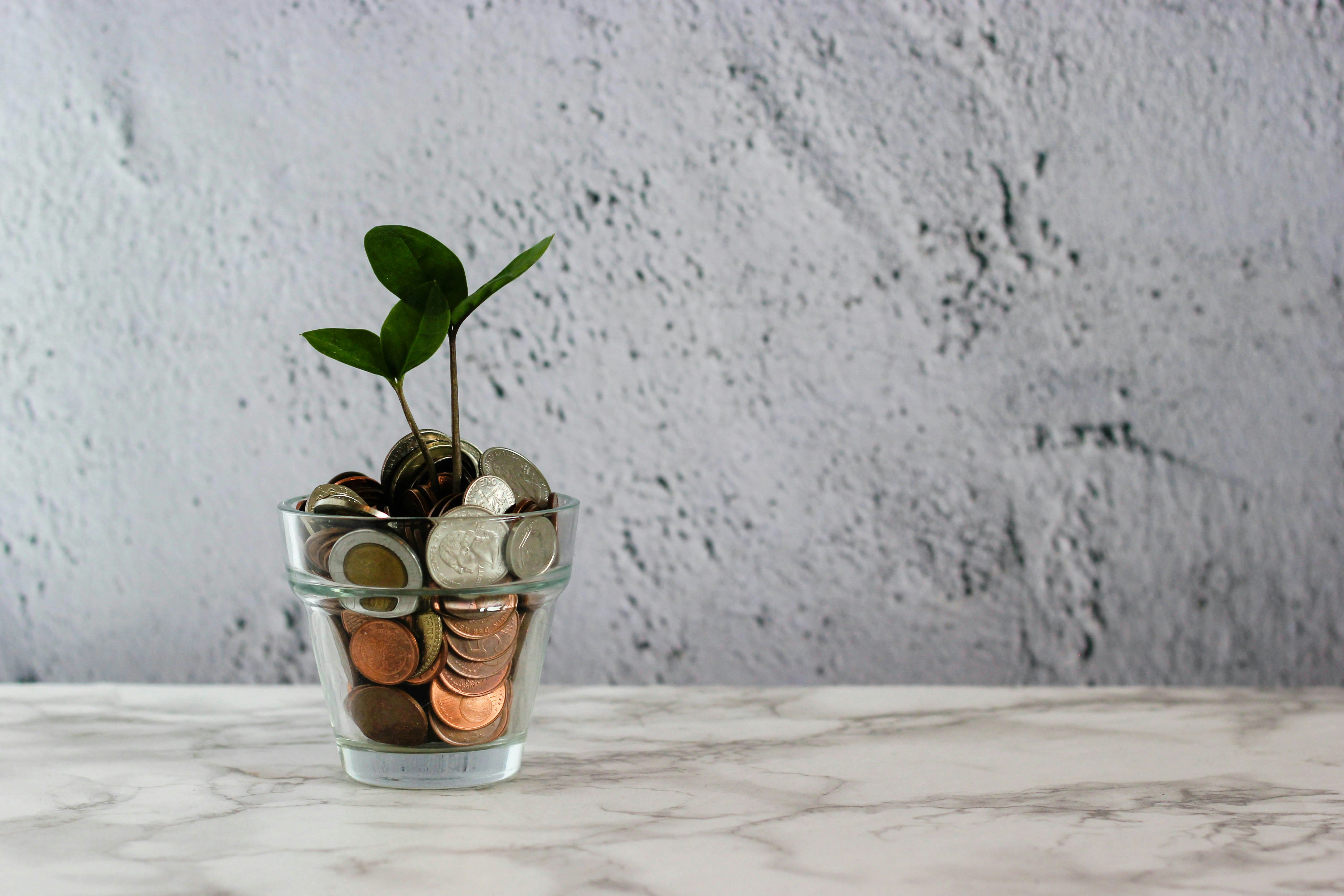 A plant growing from a glass of coins, symbolising financial growth